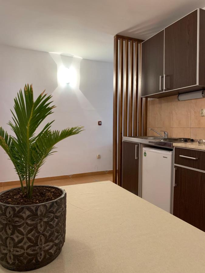 The Four Fish Apartment Petrovac Exterior photo